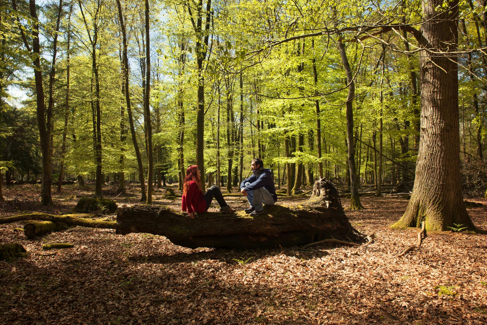 Las 10 Mejores Cosas Que Hacer En Bournemouth